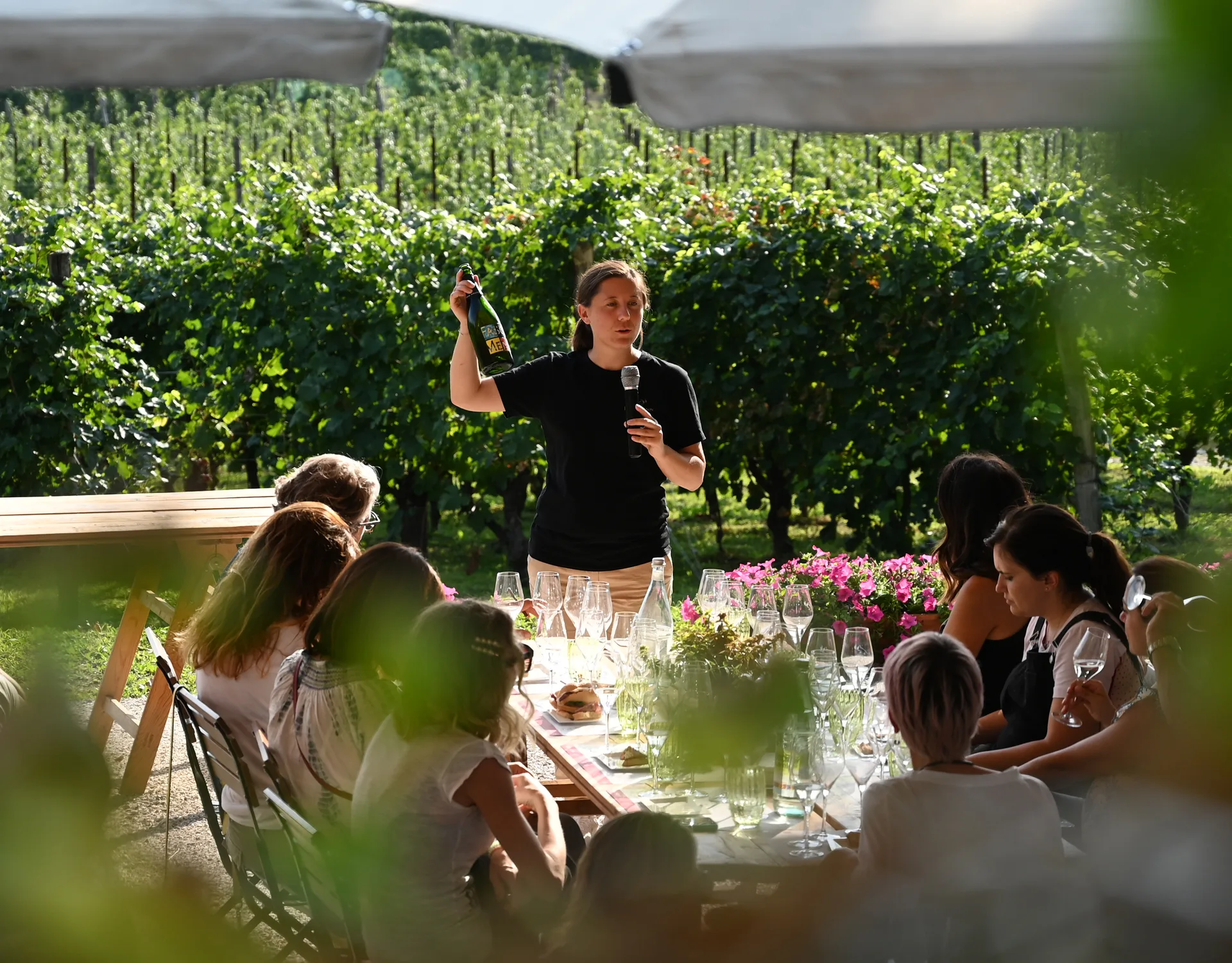 Degustazione all'aperto tra i vigneti