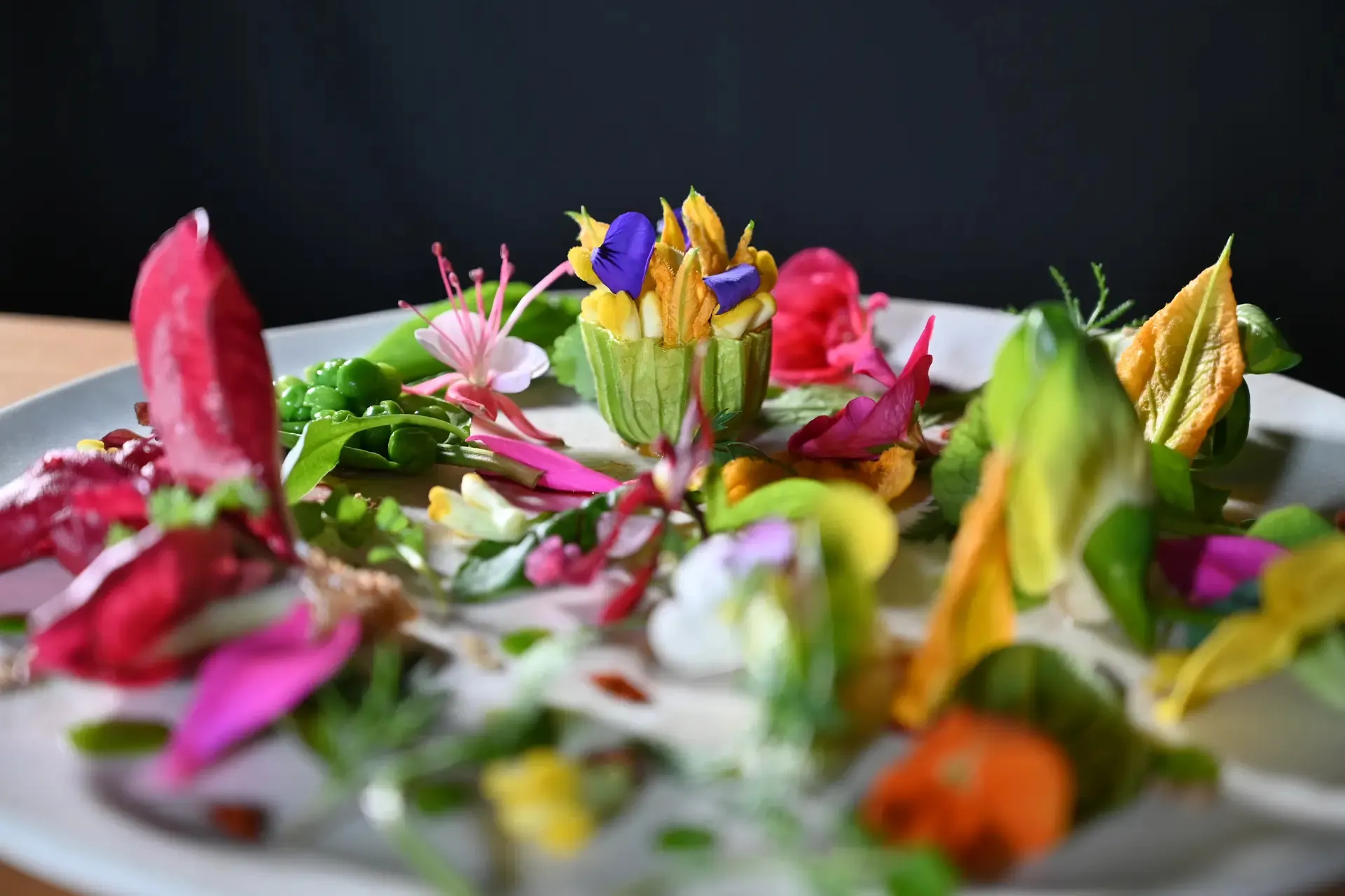 Insalata del giardino, piatto d’autore di Trame con erbe e fiori eduli